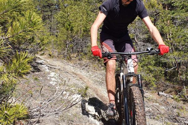 VTT