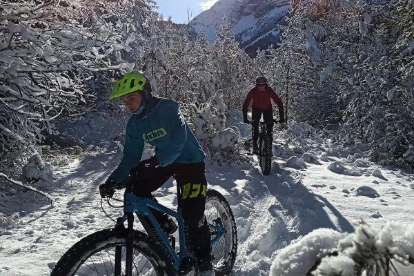 Fat Bike