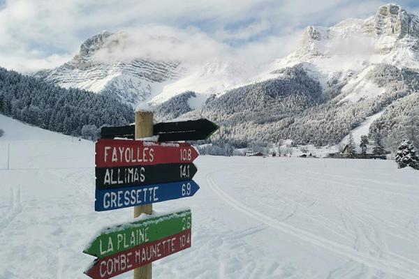 Ski de fond